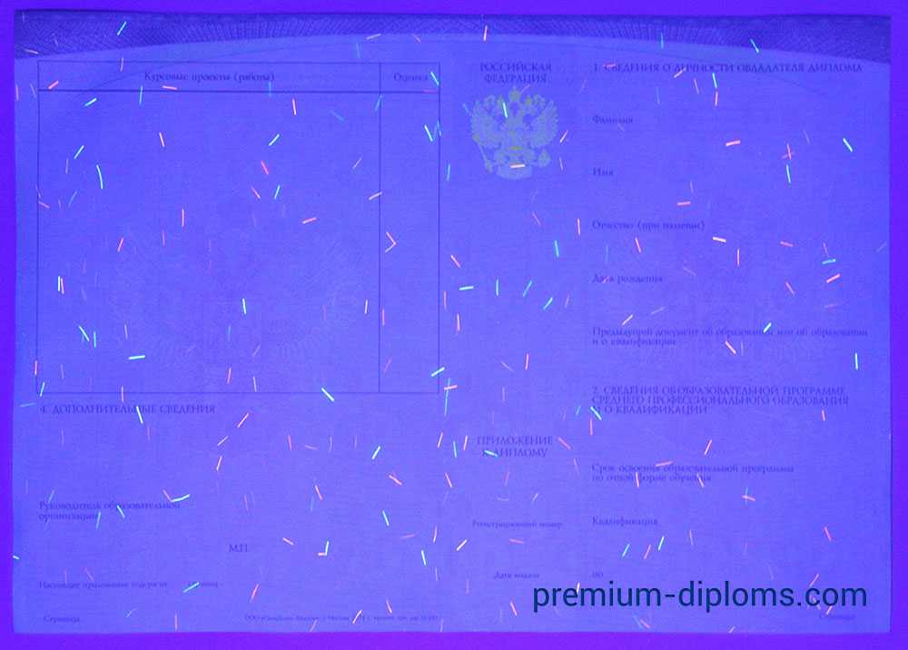 Диплом техникума - колледжа 2014-2025 год фото